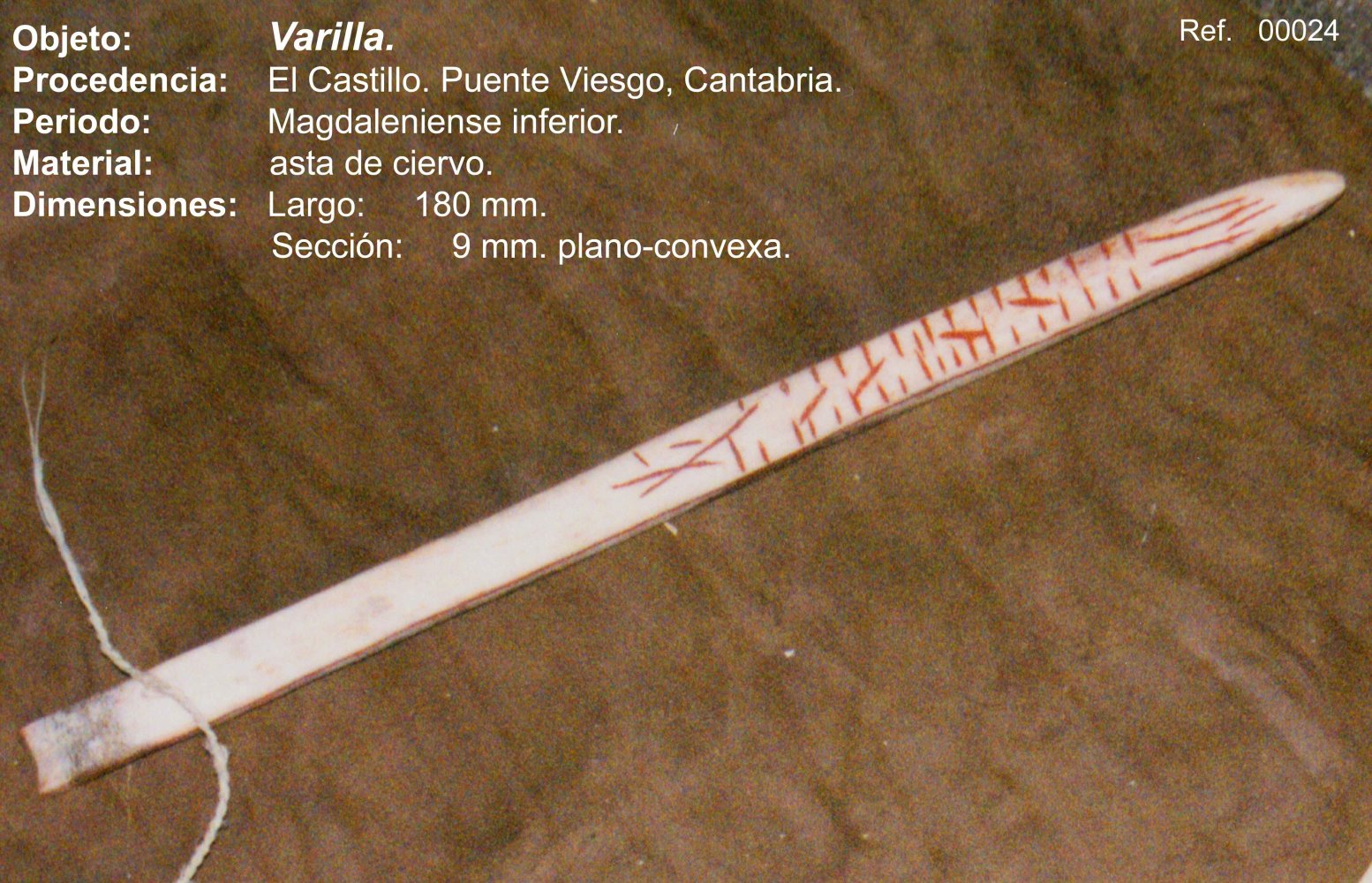 00024 Varilla  