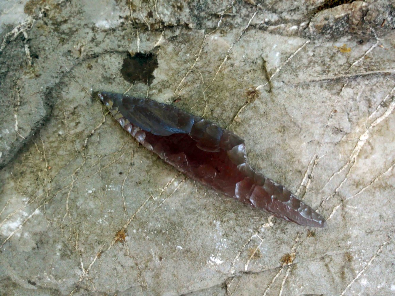 00567 Punta